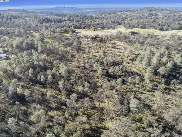 a view of a dry yard