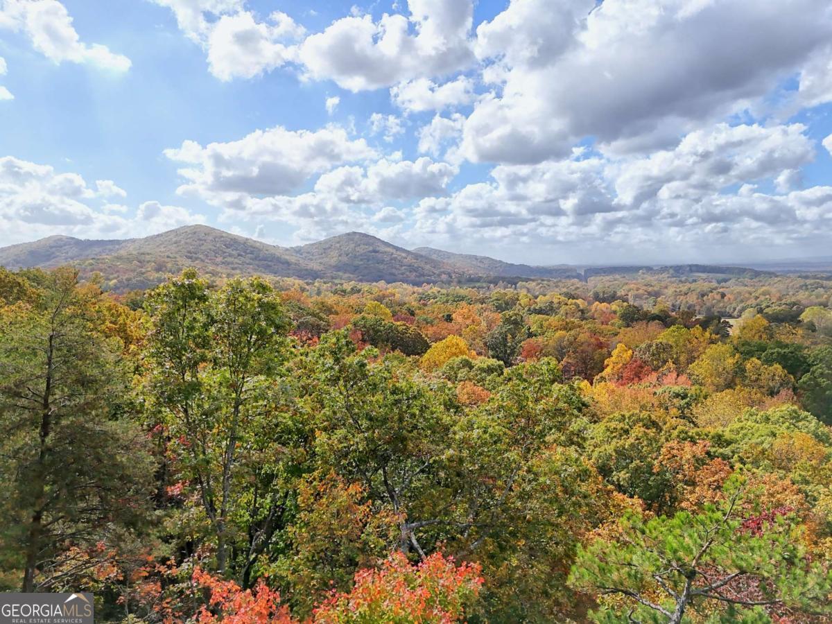 Lot 28 Long Mountain Road Cleveland, GA 30528 - Photo 1 of 1 Gallery Image 1