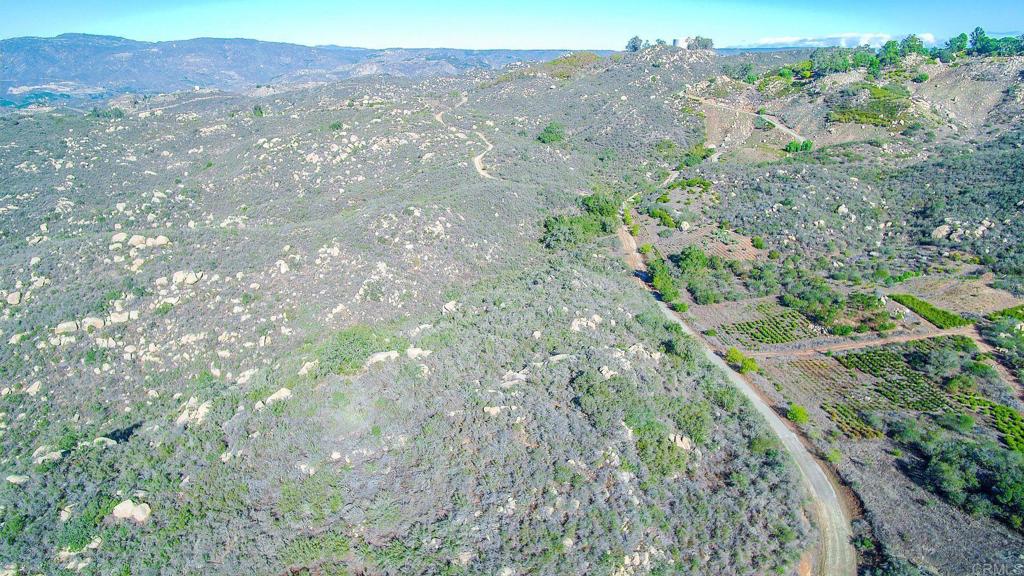 0 Supale Ranch Road Fallbrook, CA 92028 - Photo 44 of 48 a view of a forest with mountains in the background