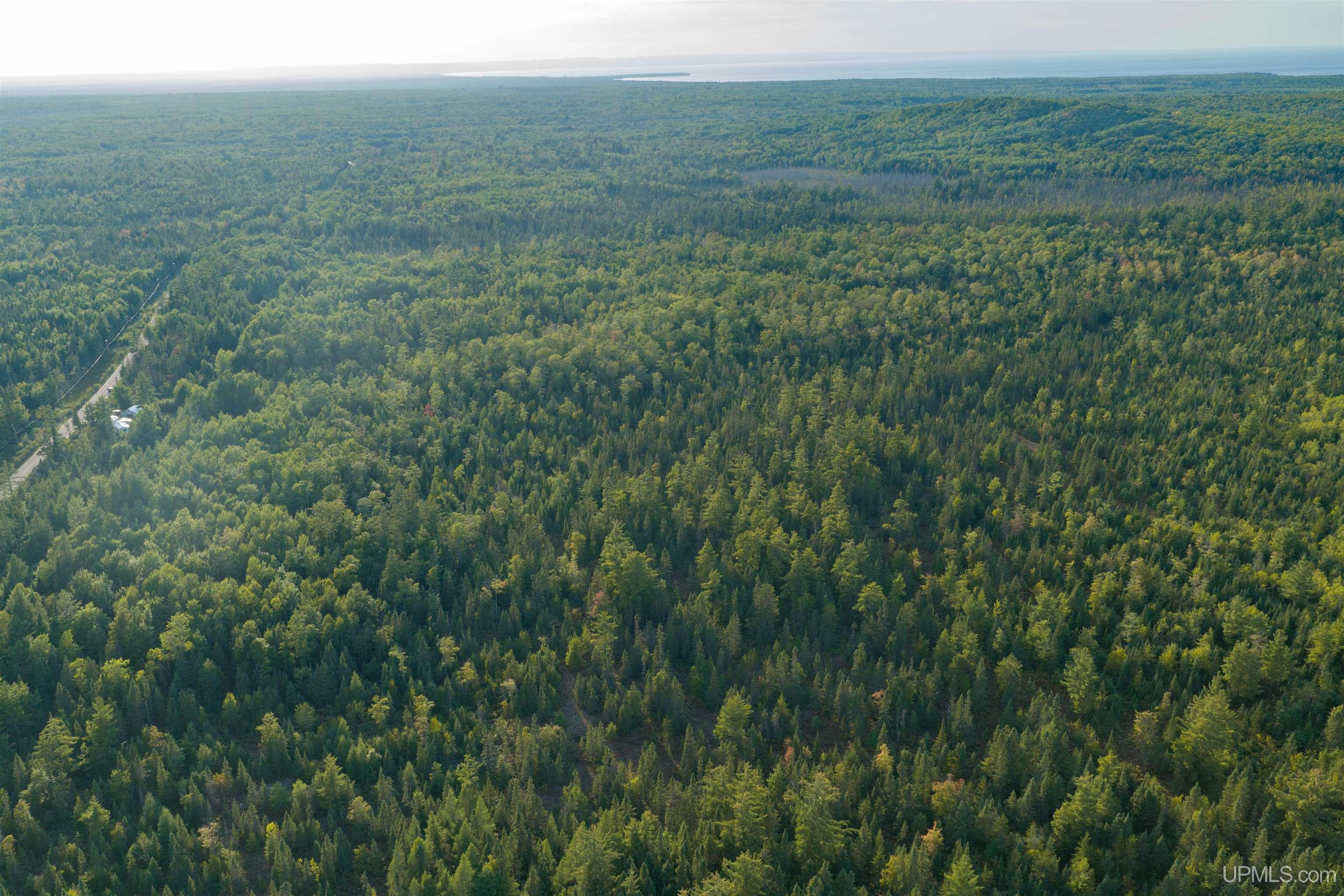120 Acres Parcel B Off Deerton Road Deerton, MI 49822 - Photo 11 of 11 Gallery Image 11
