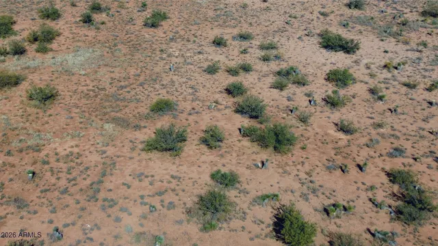a view of a dry field with trees in the background