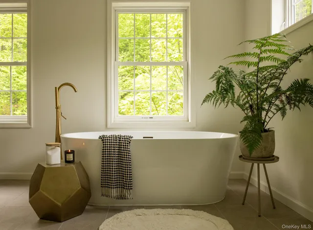 a view of potted plant in front of a window
