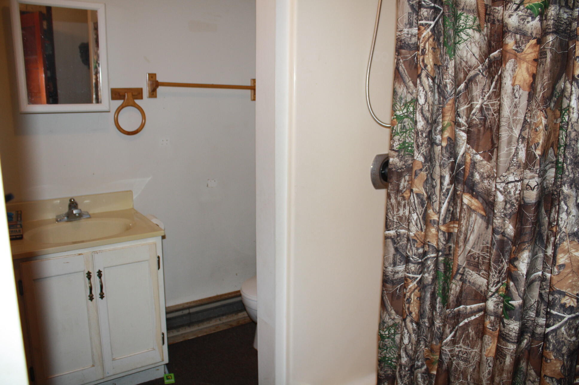 4328 Mole Road Lincoln, MI 48742 - Photo 11 of 11 Gallery Image 11