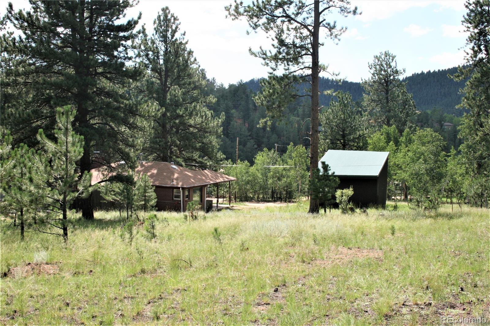 63 Fitzsimmons Road Bailey, CO 80421 - Photo 36 of 40
