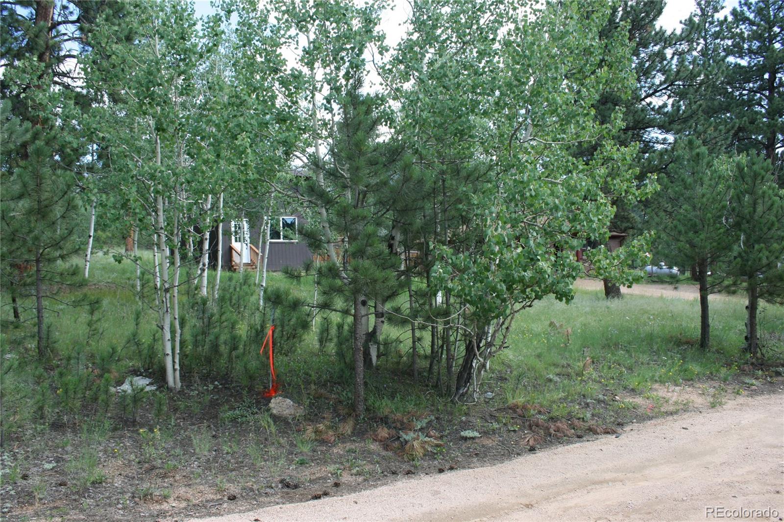 63 Fitzsimmons Road Bailey, CO 80421 - Photo 38 of 40