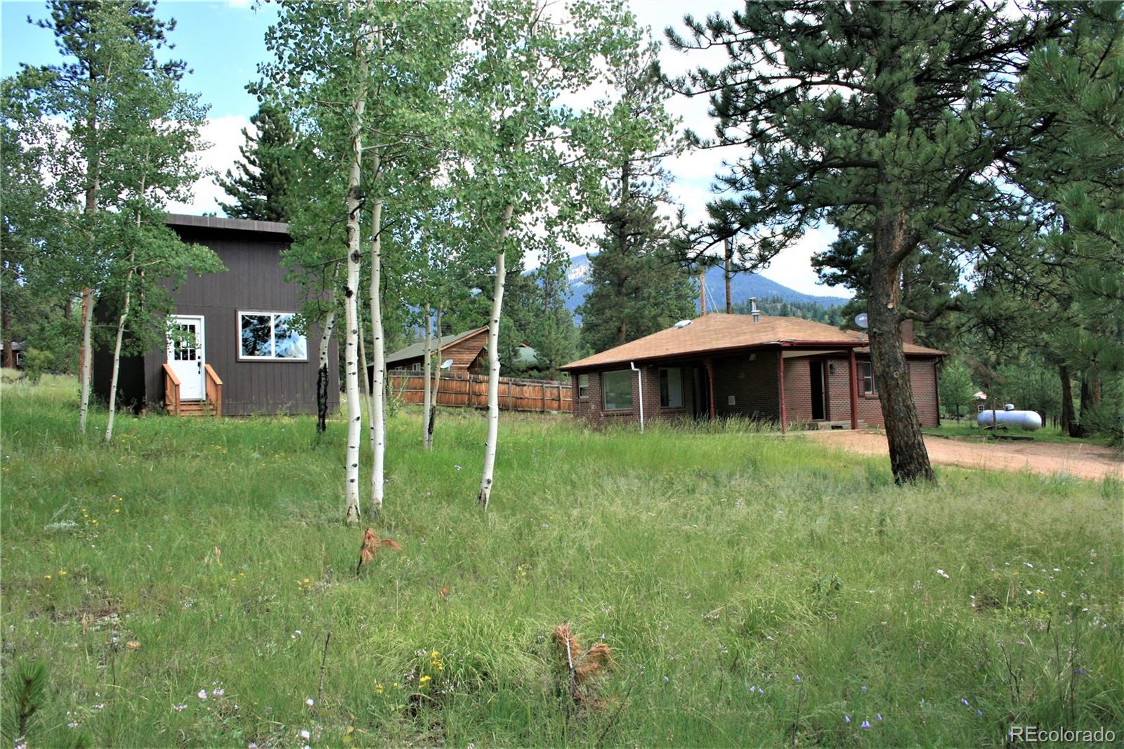 63 Fitzsimmons Road Bailey, CO 80421 - Photo 4 of 40