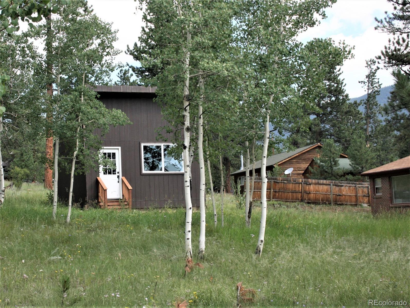 63 Fitzsimmons Road Bailey, CO 80421 - Photo 5 of 40