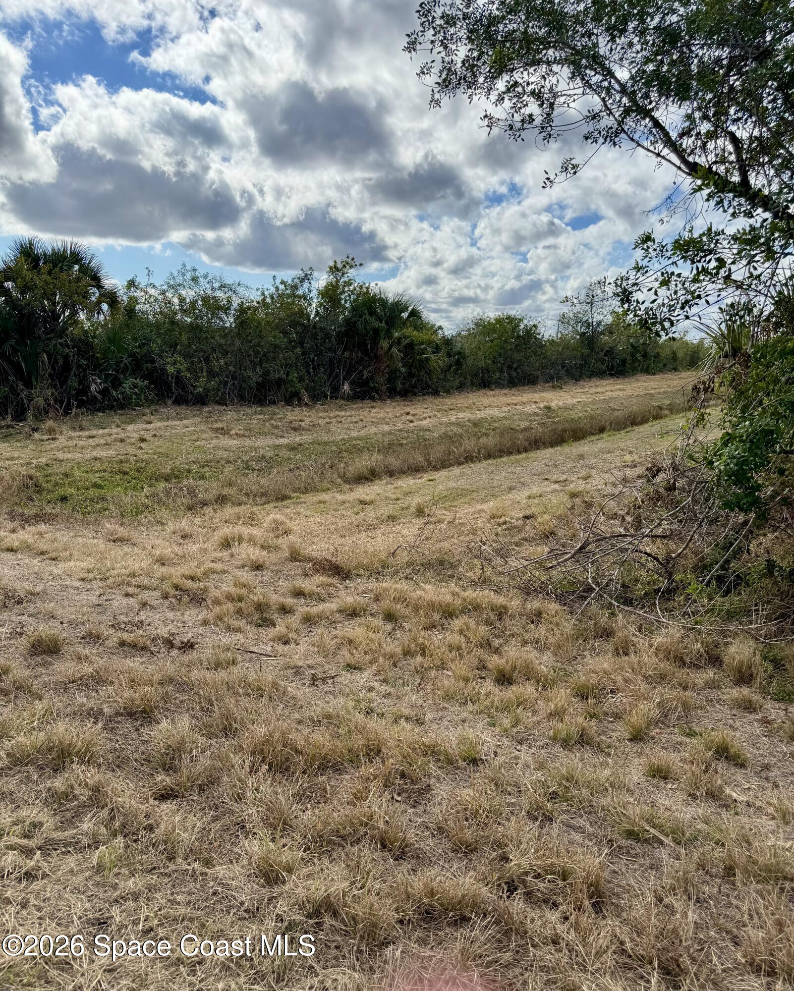 8520 Horseshoe Avenue Palm Bay, FL 32909 - Photo 3 of 3 IMG_1397