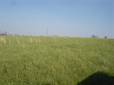 1655 White Turley Road Winchester, KY 40391 - Photo 5 of 8 Photo 5