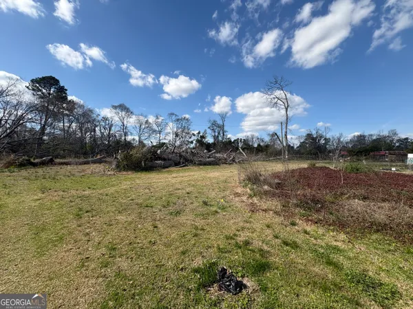 a view of yard with trees