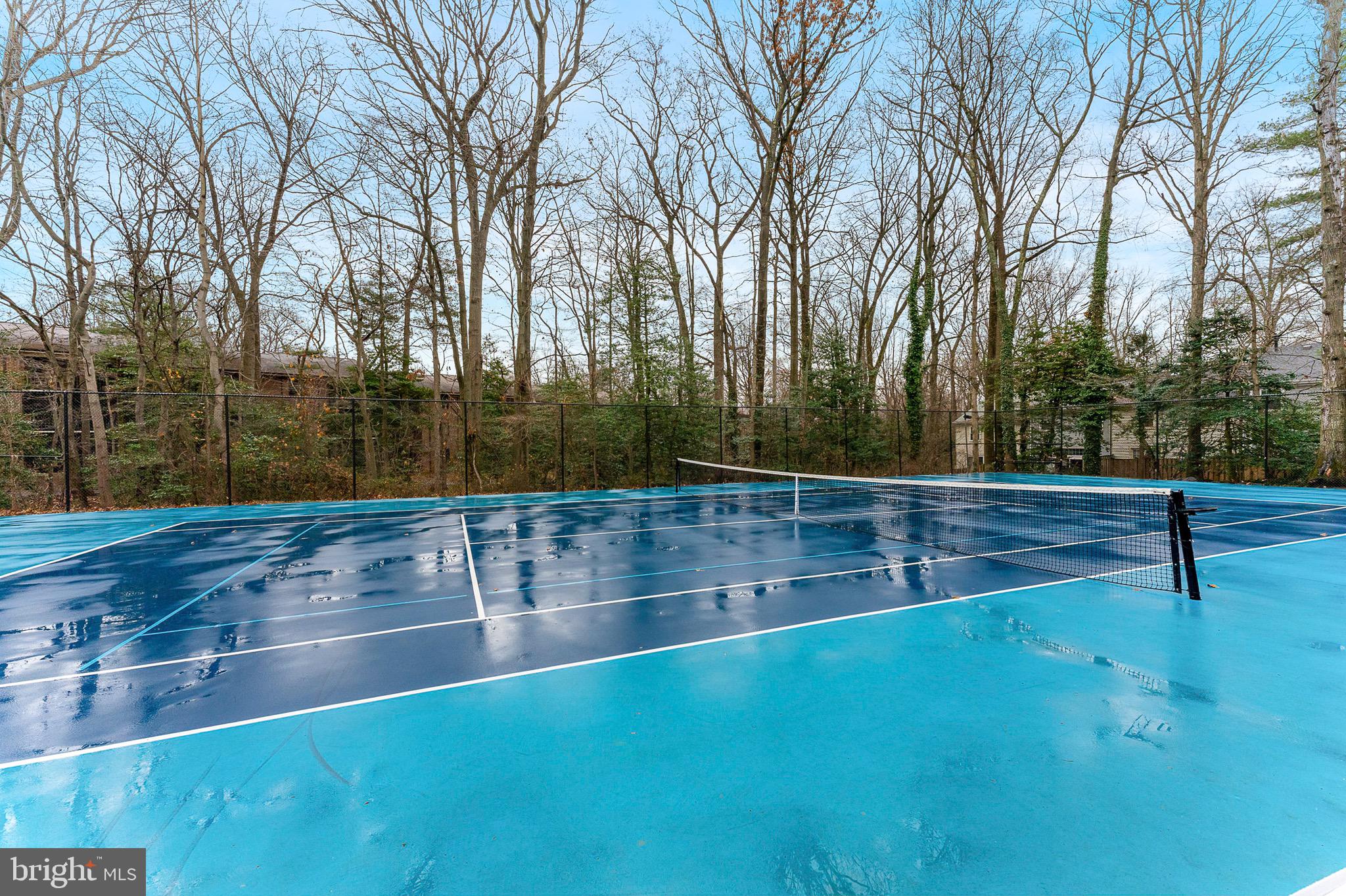 2284 White Cornus Lane Reston, VA 20191 - Photo 41 of 46