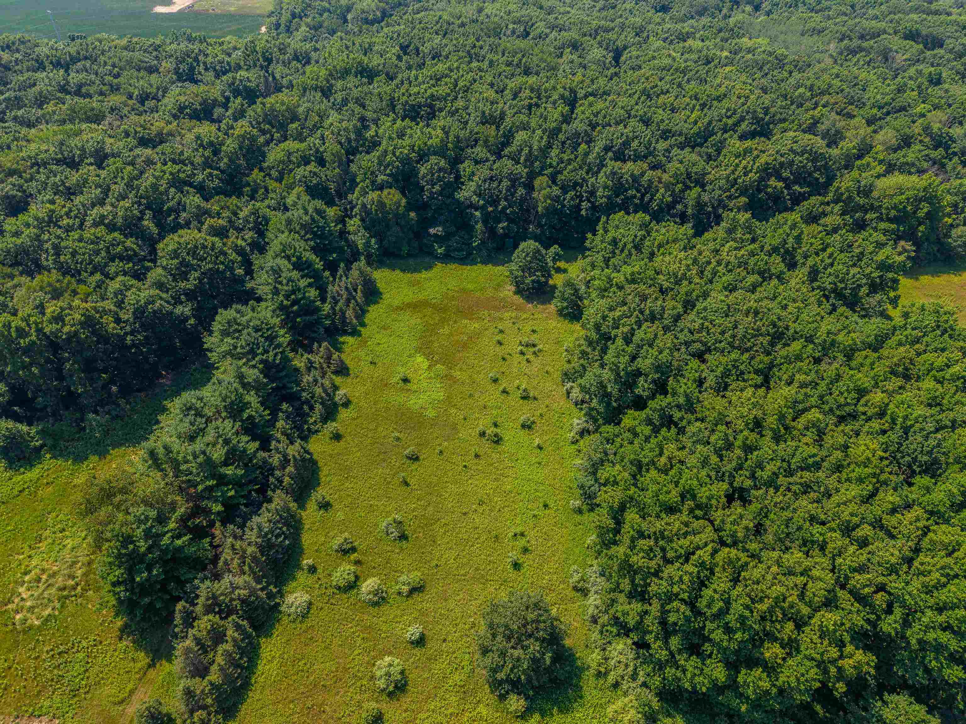 5818 West Baker Road Coleman, MI 48618 - Photo 60 of 86
