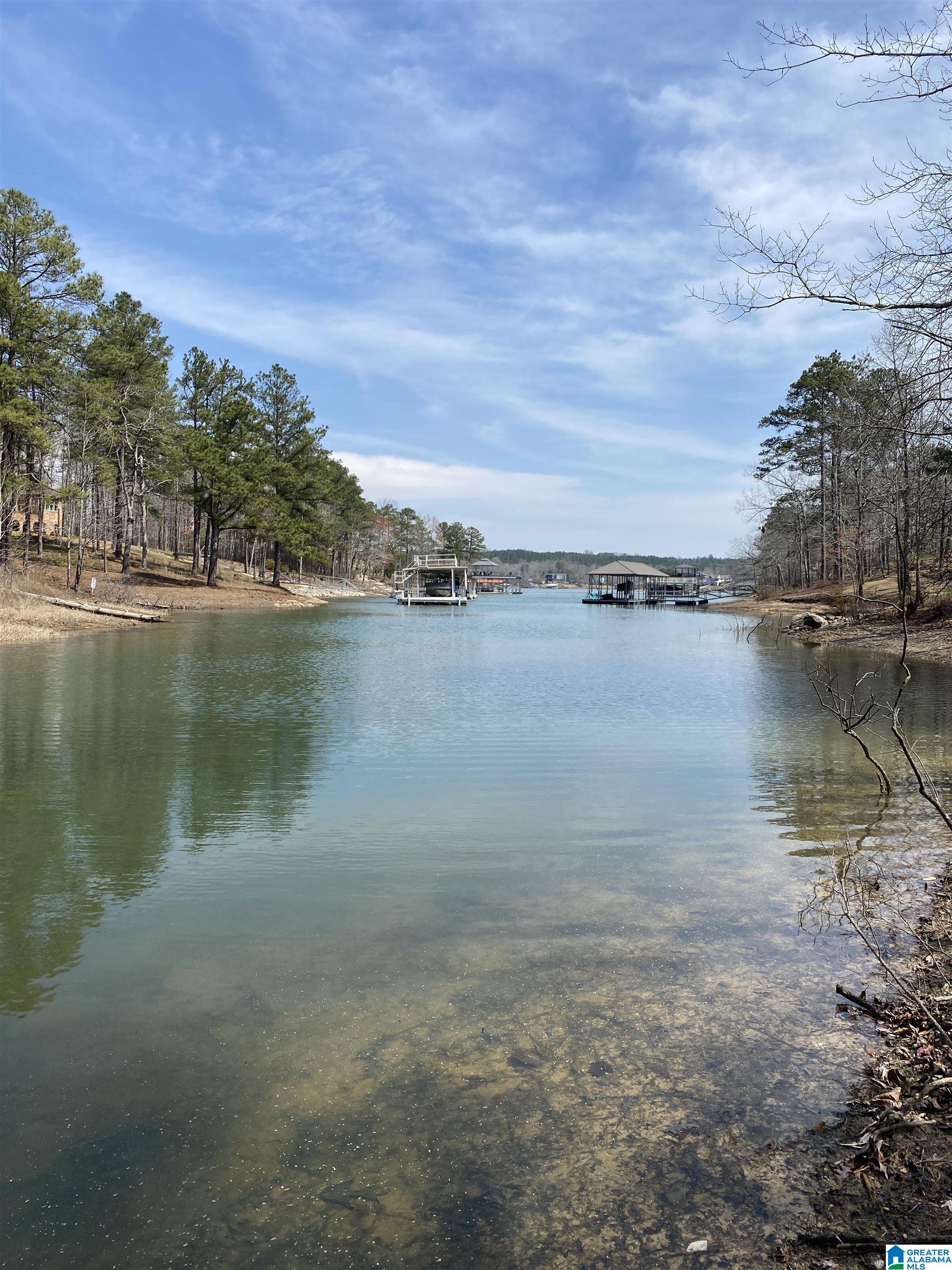 Lot 37 Stoney Point Road South, Unit 37 Double Springs, AL 35553 - Photo 7 of 33