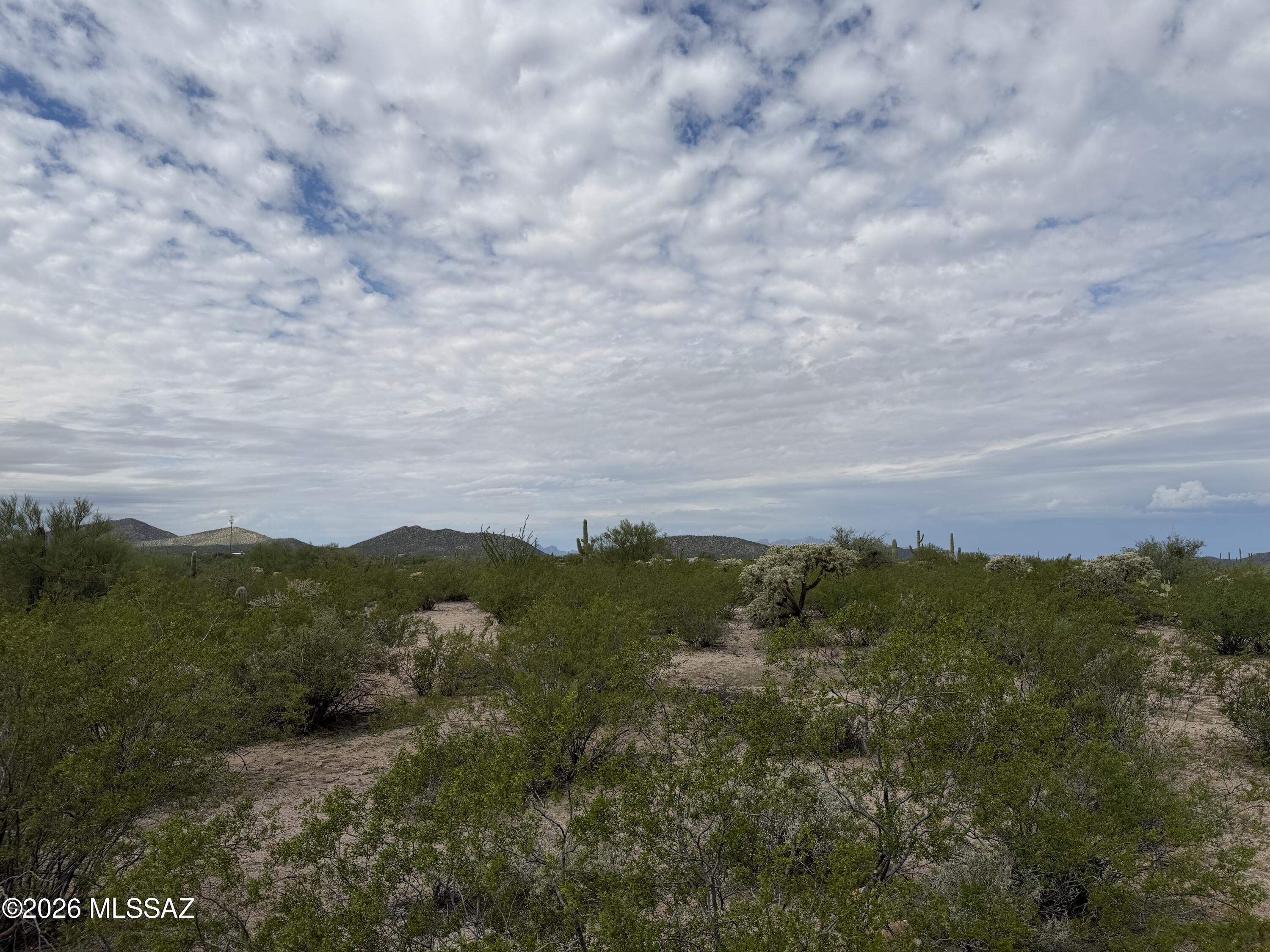 20452 North Oracle Road Catalina, AZ 85739 - Photo 6 of 13 IMG_0748