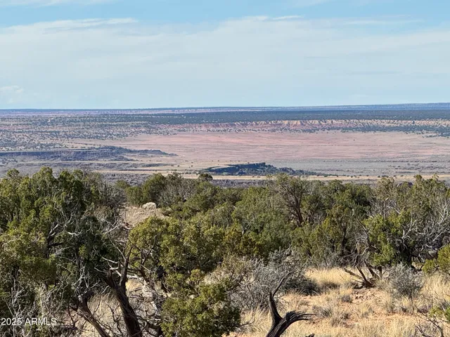 a view of a field with an ocean beach