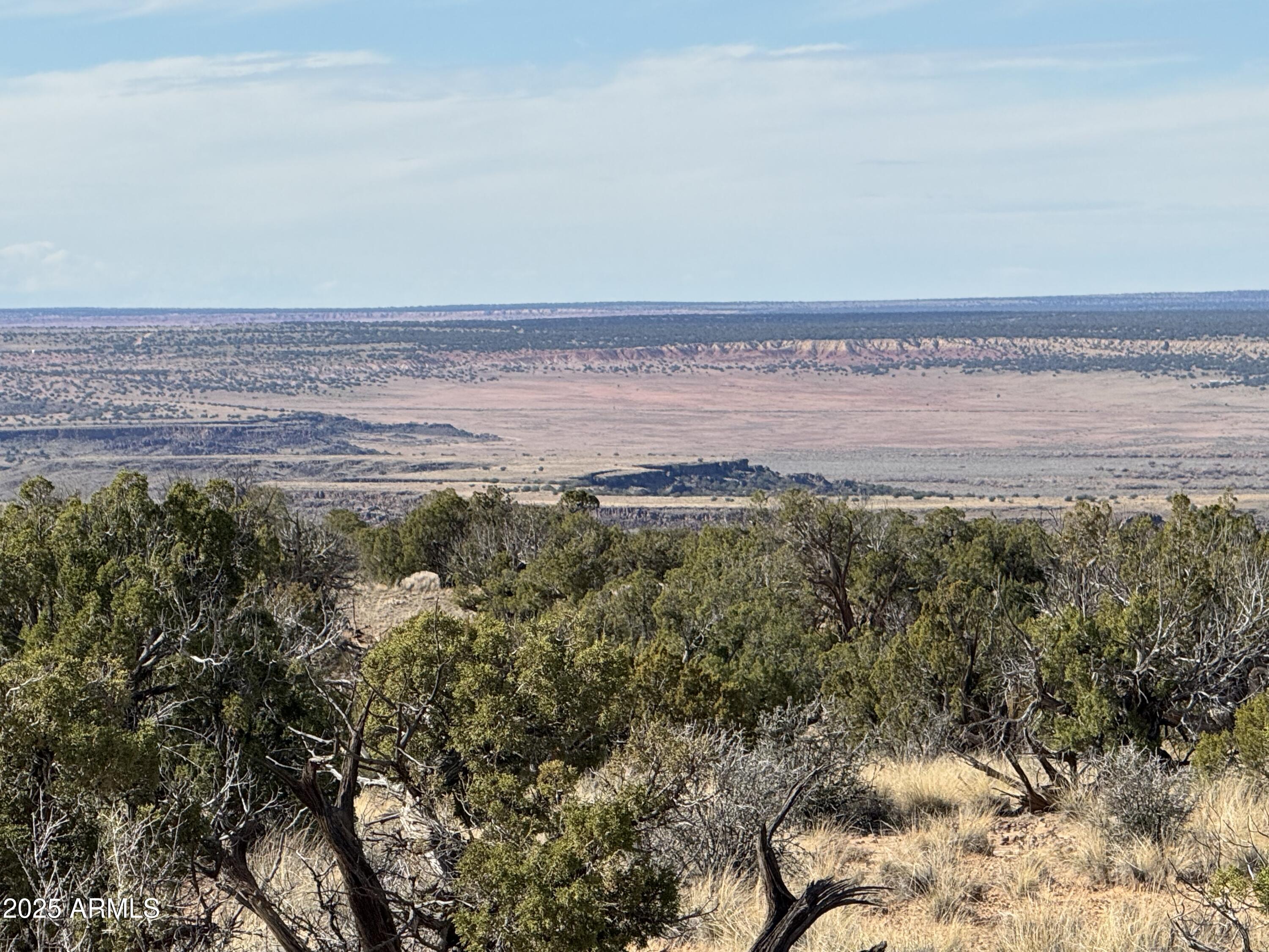 a view of a field with an ocean beach