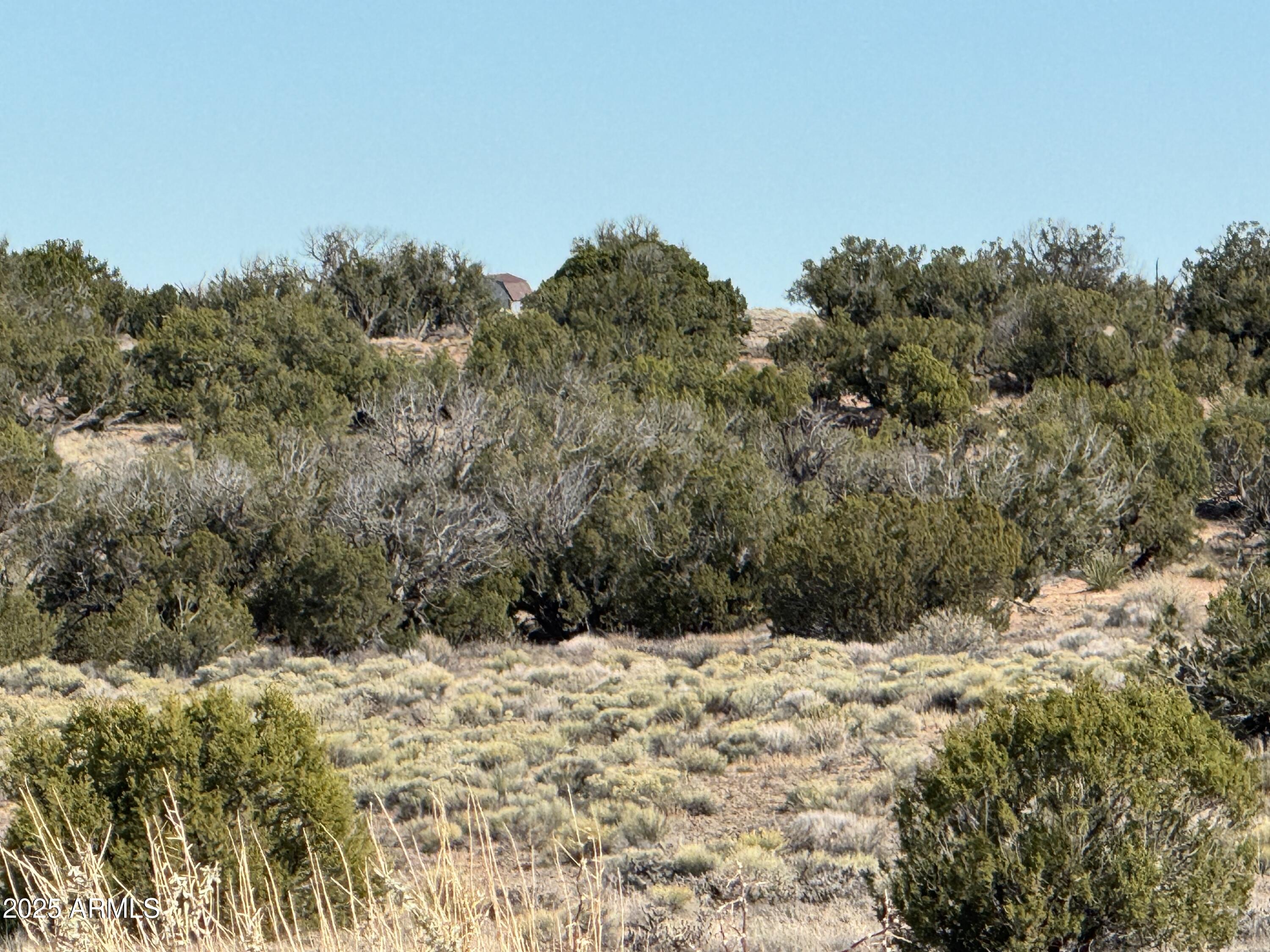 Lot 62 Sierra Highlands Ranch, Unit 62 St. Johns, AZ 85936 - Photo 11 of 14 a view of mountain view