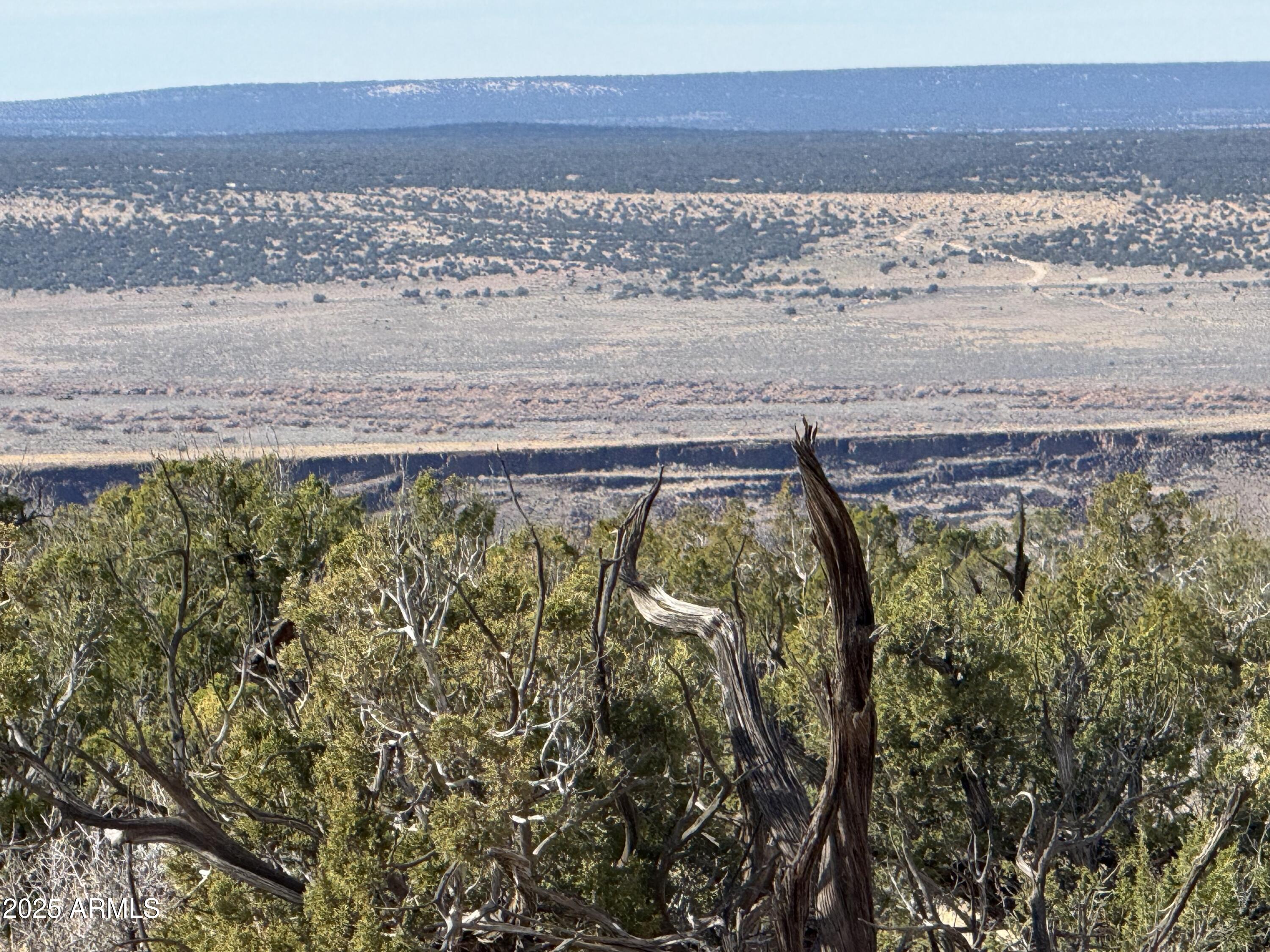 Lot 62 Sierra Highlands Ranch, Unit 62 St. Johns, AZ 85936 - Photo 3 of 14 a view of ocean view