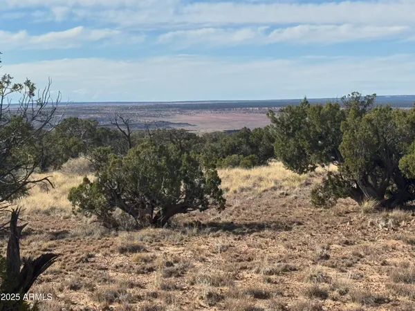 a view of a covered with snow in the background