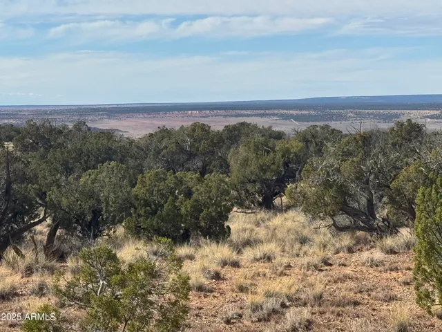 a view of a yard of a house
