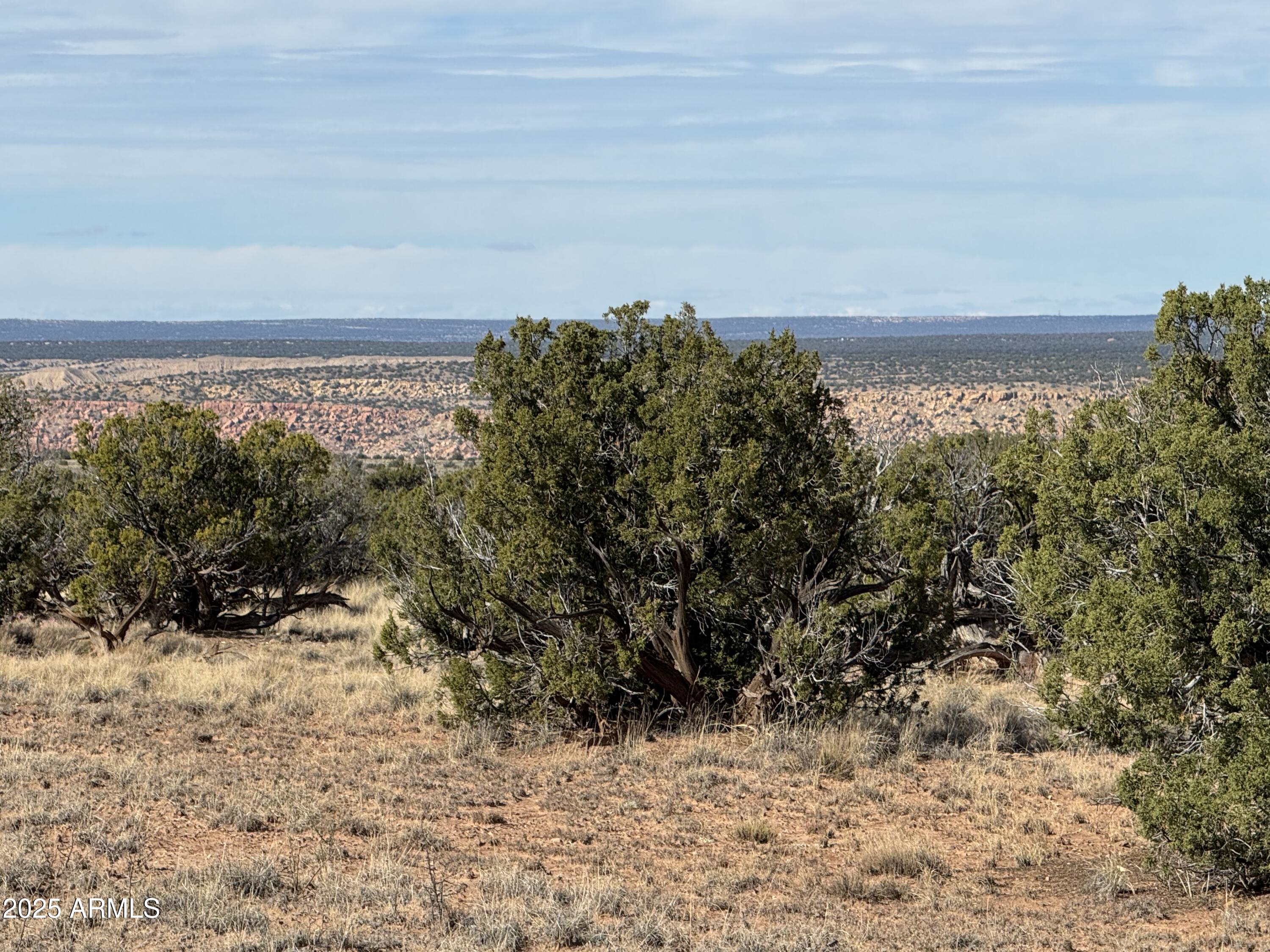 Lot 62 Sierra Highlands Ranch, Unit 62 St. Johns, AZ 85936 - Photo 6 of 14 a view of a yard with wooden fence