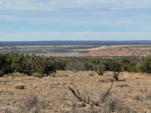 a view of an ocean beach
