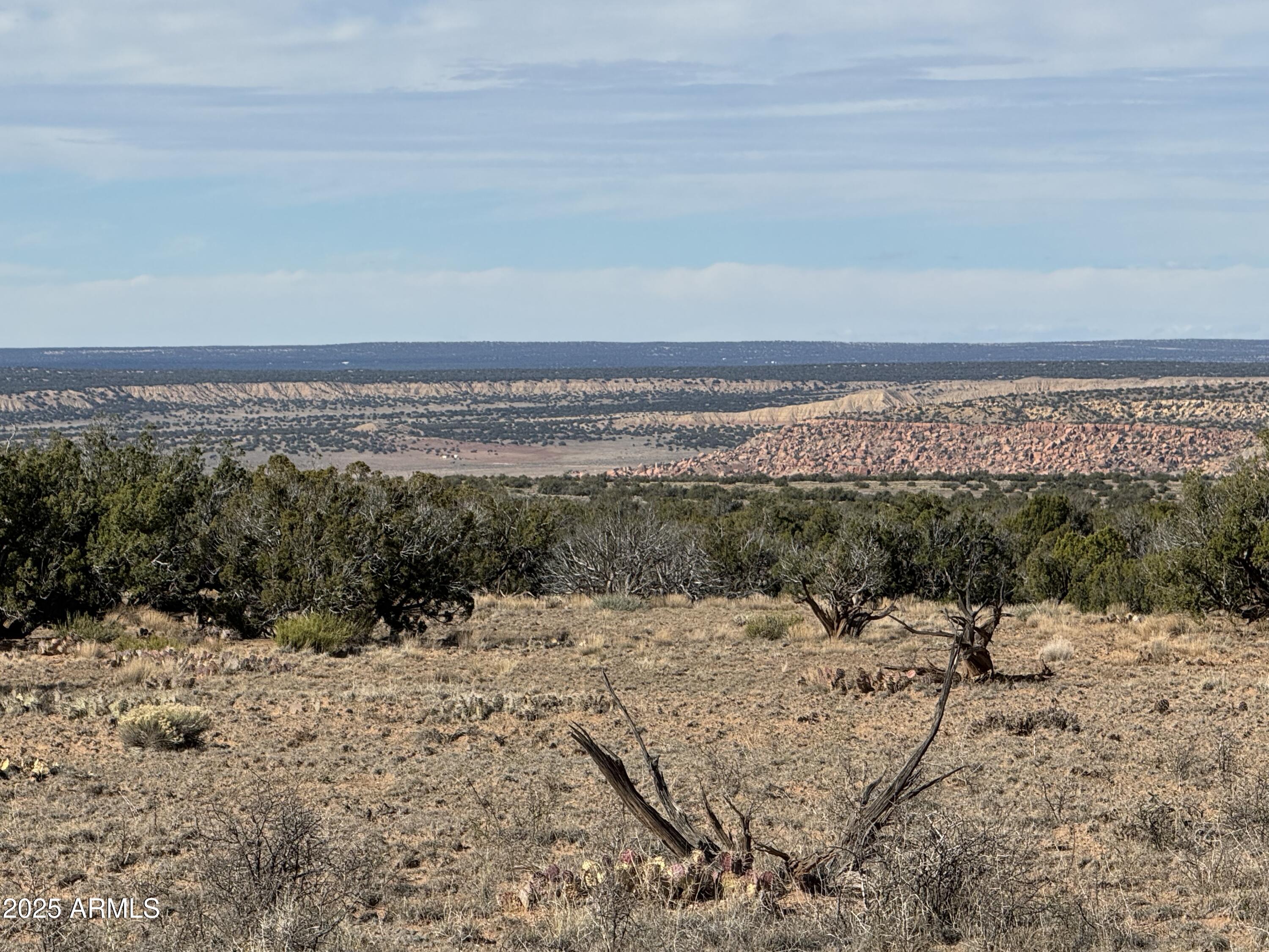 Lot 62 Sierra Highlands Ranch, Unit 62 St. Johns, AZ 85936 - Photo 7 of 14 a view of an ocean beach