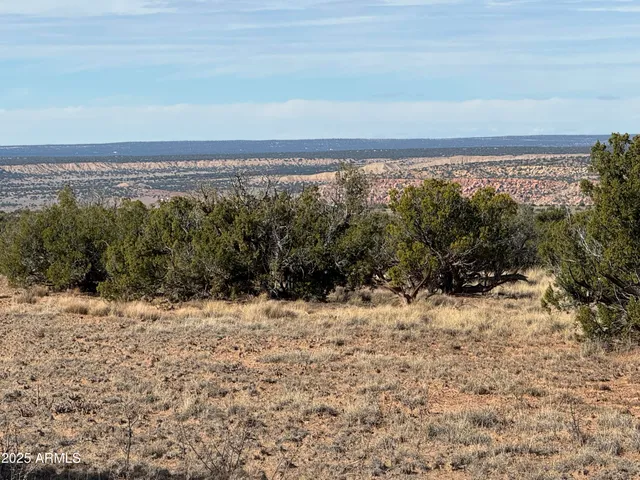 a view of a yard with a mountain