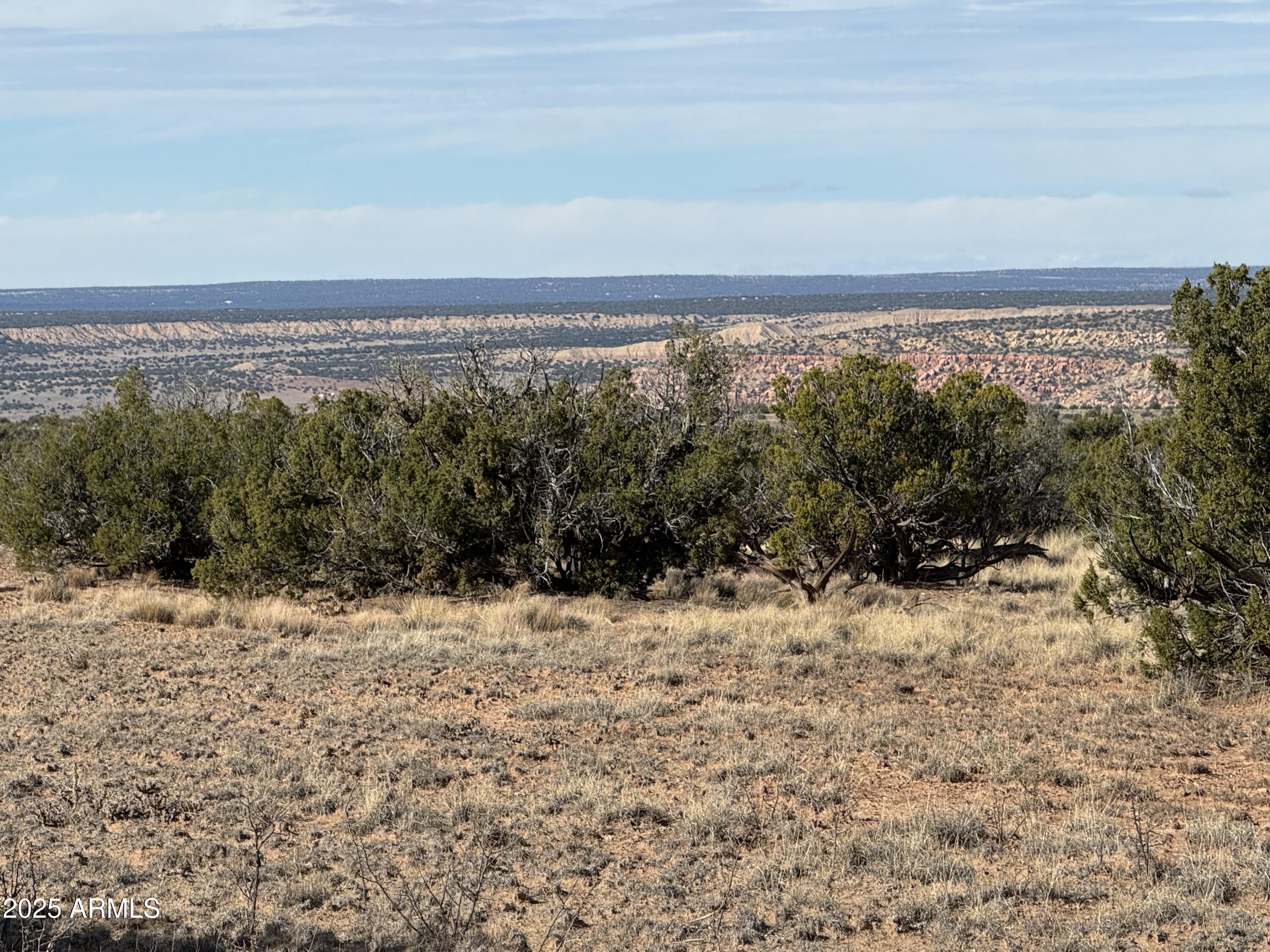 Lot 62 Sierra Highlands Ranch, Unit 62 St. Johns, AZ 85936 - Photo 8 of 14 a view of a yard with a mountain