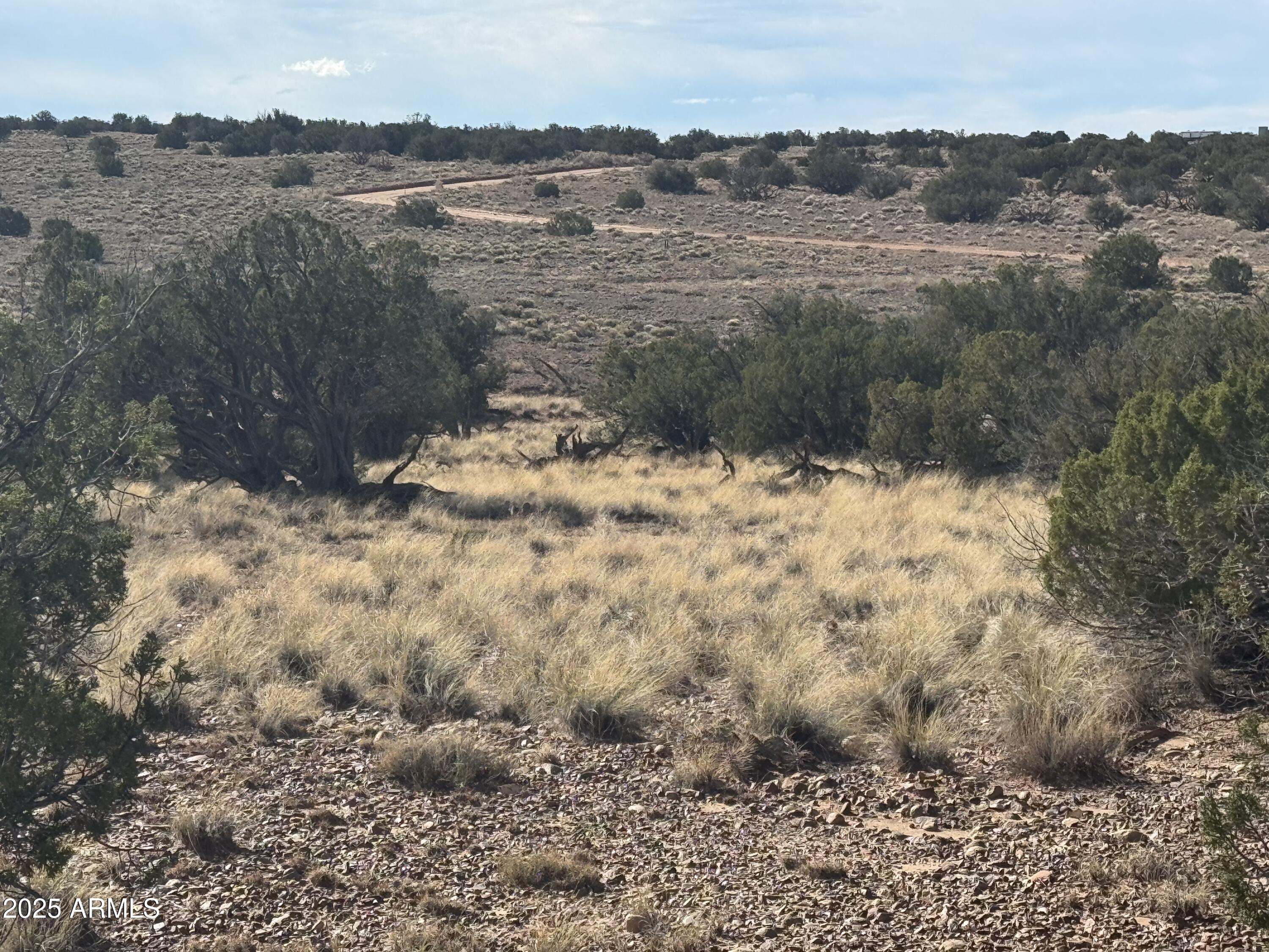 Lot 62 Sierra Highlands Ranch, Unit 62 St. Johns, AZ 85936 - Photo 10 of 14 a view of a lake view