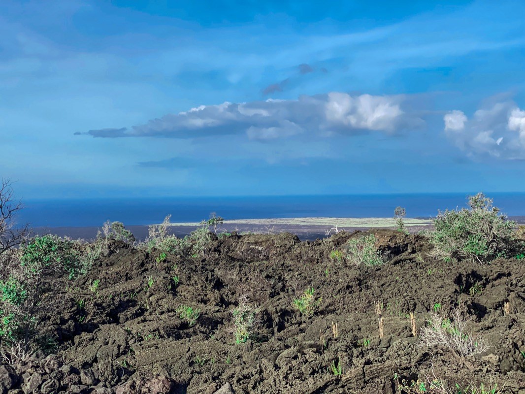 4 Rd To The Sea Ocean View, HI 96704 - Photo 7 of 12 Gallery Image 7