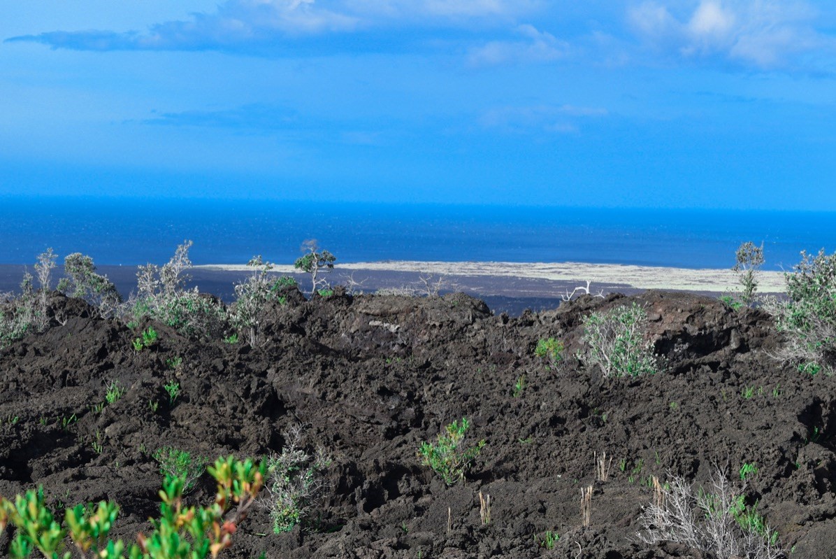 4 Rd To The Sea Ocean View, HI 96704 - Photo 8 of 12 Gallery Image 8