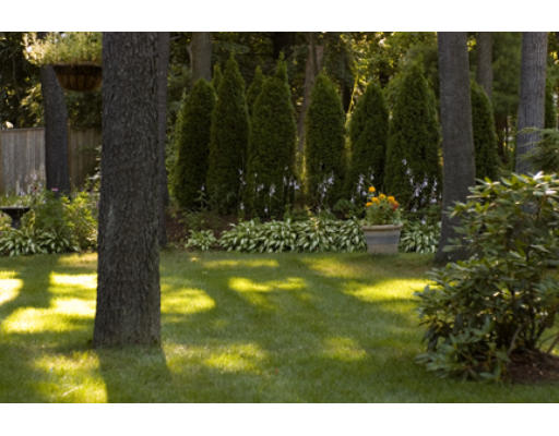 8 Sandy Ridge Road Sterling, MA 01564 - Photo 25 of 30 Gallery Image 25