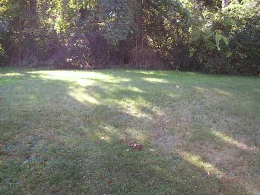 5176 Grove Road Whitehall, PA 15236 - Photo 7 of 8 Other.
