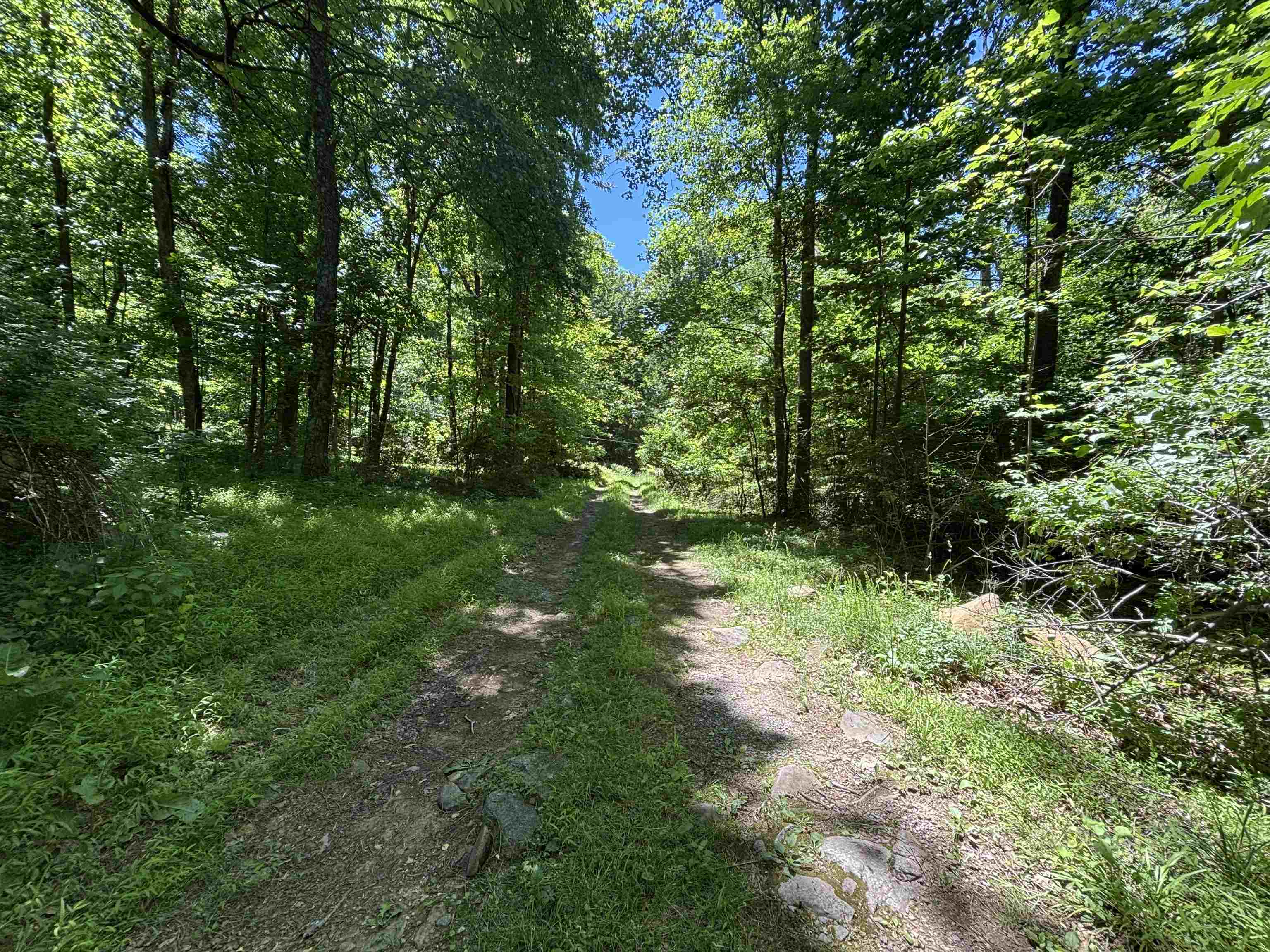 Jordan Hollow Road Stanley, VA 22851 - Photo 16 of 26 Path from road leading into property