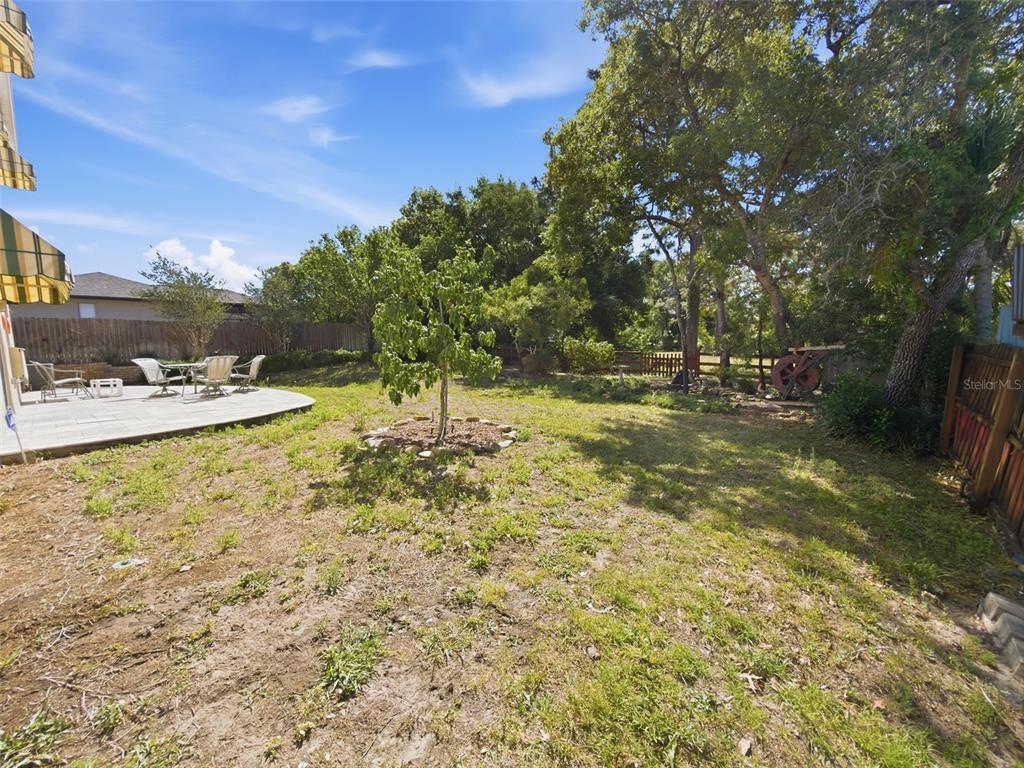 13302 Mitten Lane Spring Hill, FL 34609 - Photo 49 of 59 a view of a yard with swimming pool