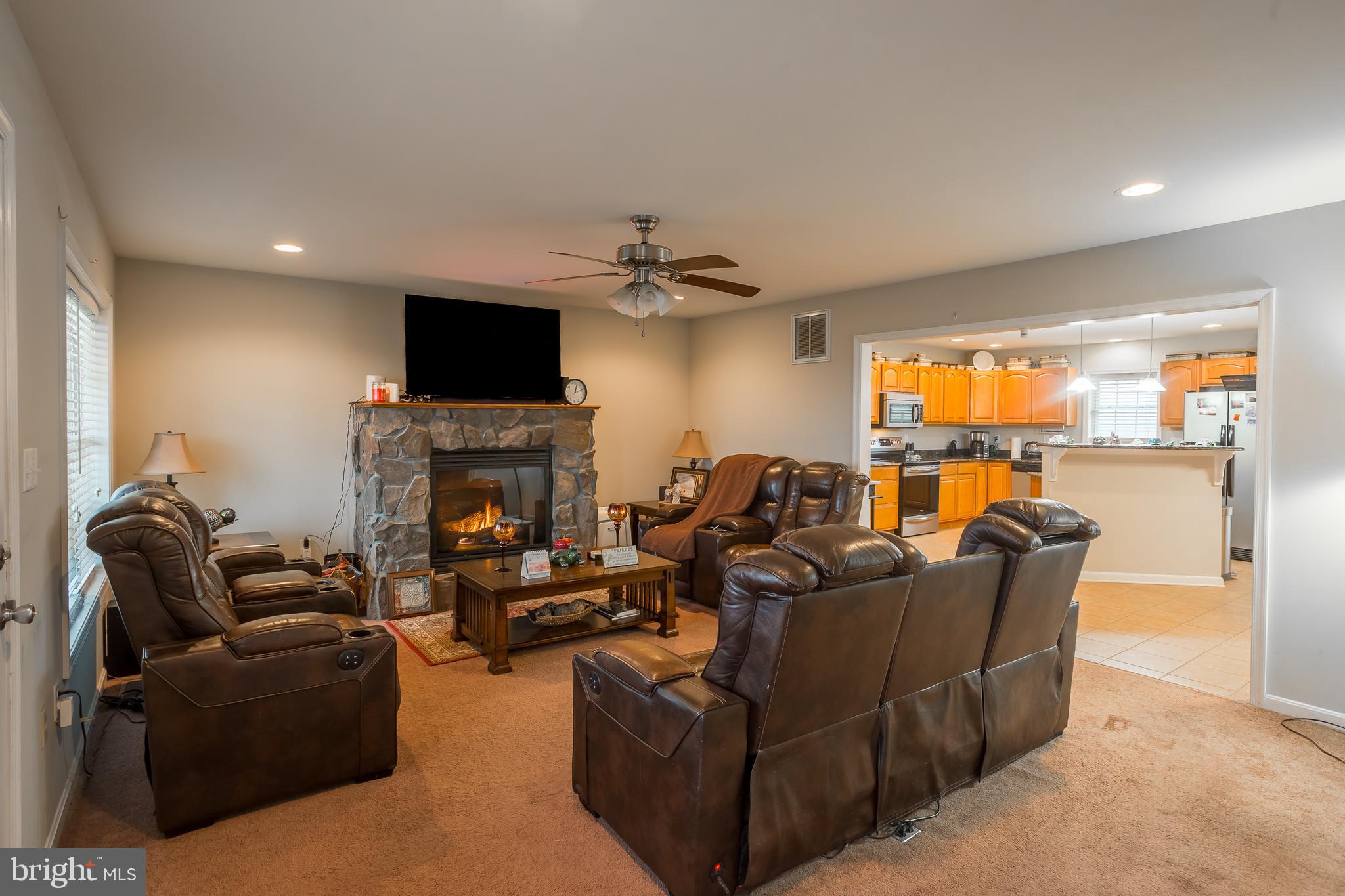 10455 Sunnyside Road Greenwood, DE 19950 - Photo 3 of 46 a living room with furniture a flat screen tv and a fireplace