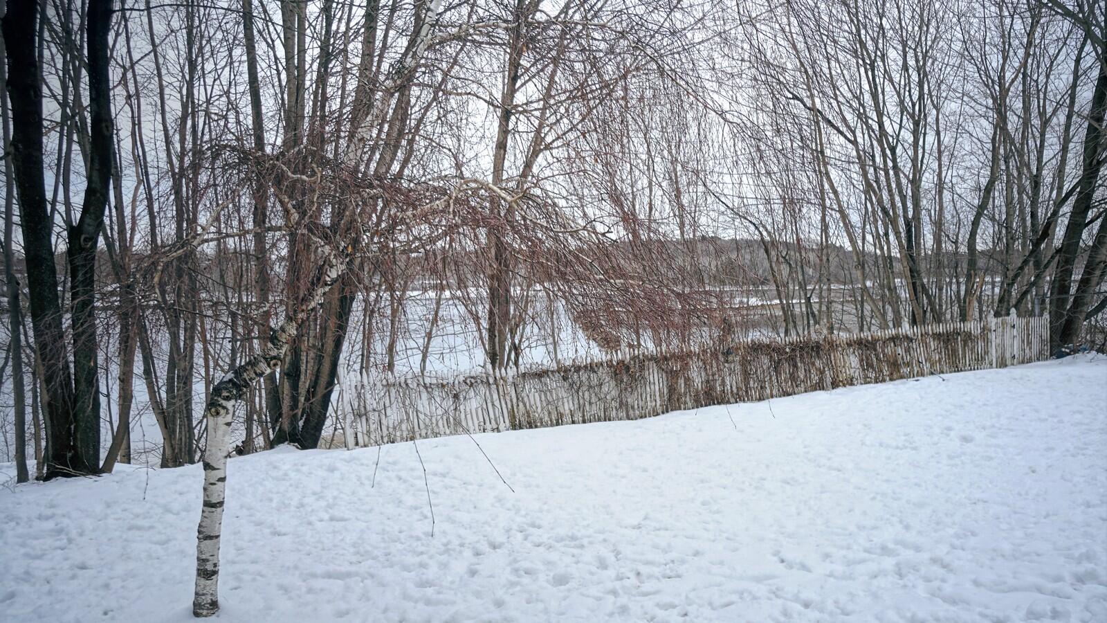 147 Cleaves Street, Unit 3 Biddeford, ME 04005 - Photo 45 of 45 DSC09035