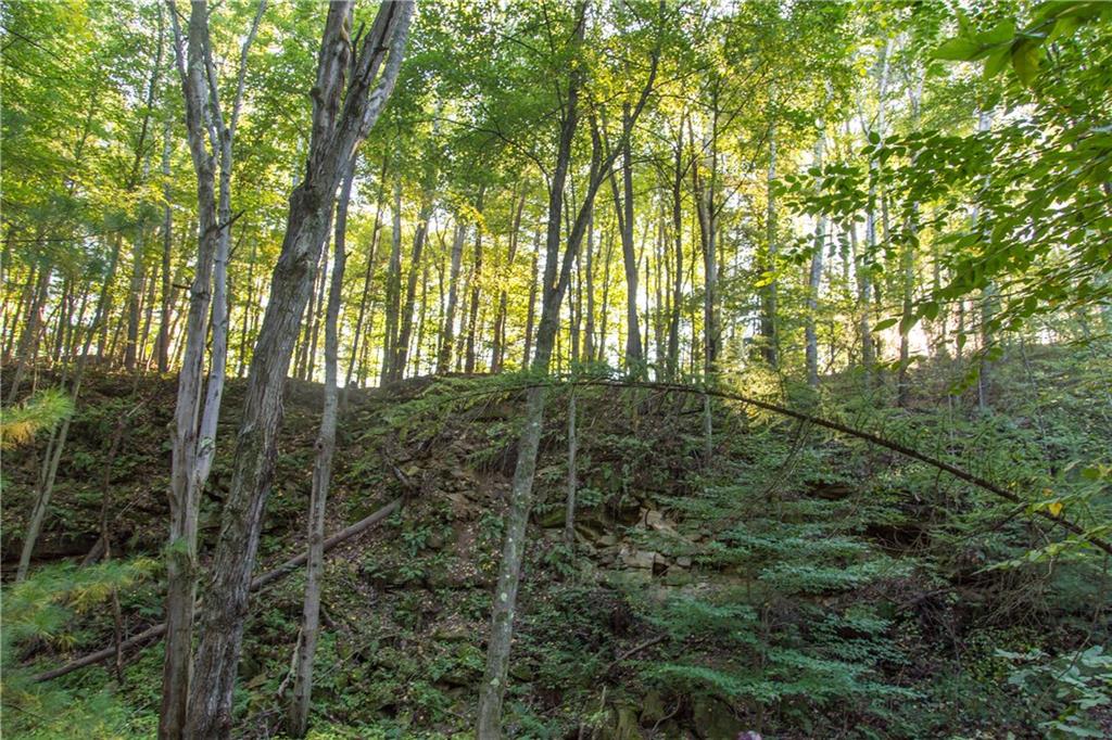 259 Lindey Road Slippery Rock, PA 16057 - Photo 23 of 25 Gallery Image 23