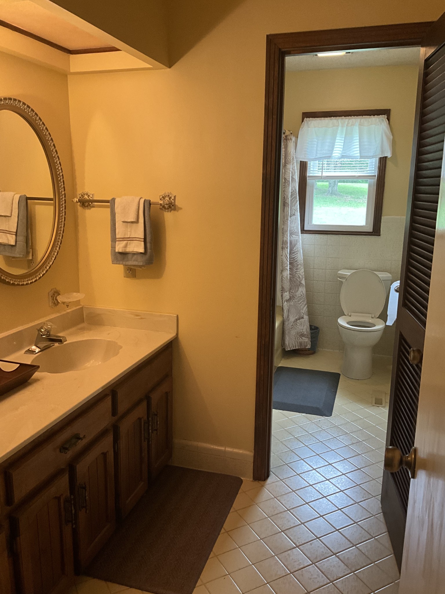 5247 Stacy Springs Road Springfield, TN 37172 - Photo 13 of 29 a bathroom with a sink a toilet and mirror