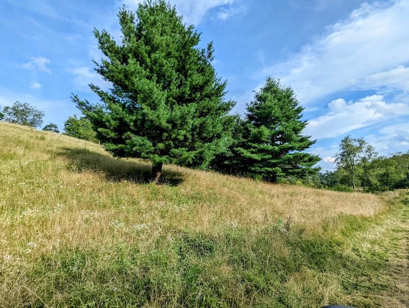 Tbd Red Oak Grove Road Northeast Floyd, VA 24091 - Photo 23 of 33 Gallery Image 23