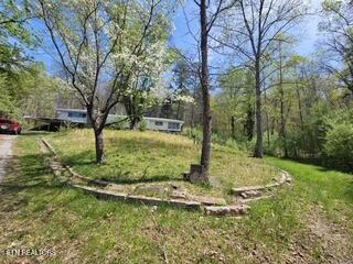 20084 Alberta Street Oneida, TN 37841 - Photo 19 of 24 1000015091