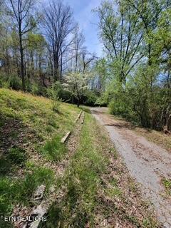 20084 Alberta Street Oneida, TN 37841 - Photo 22 of 24 1000015088