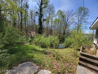 20084 Alberta Street Oneida, TN 37841 - Photo 10 of 24 1000015079