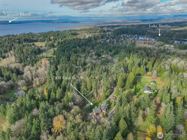 a view of a forest with a lake