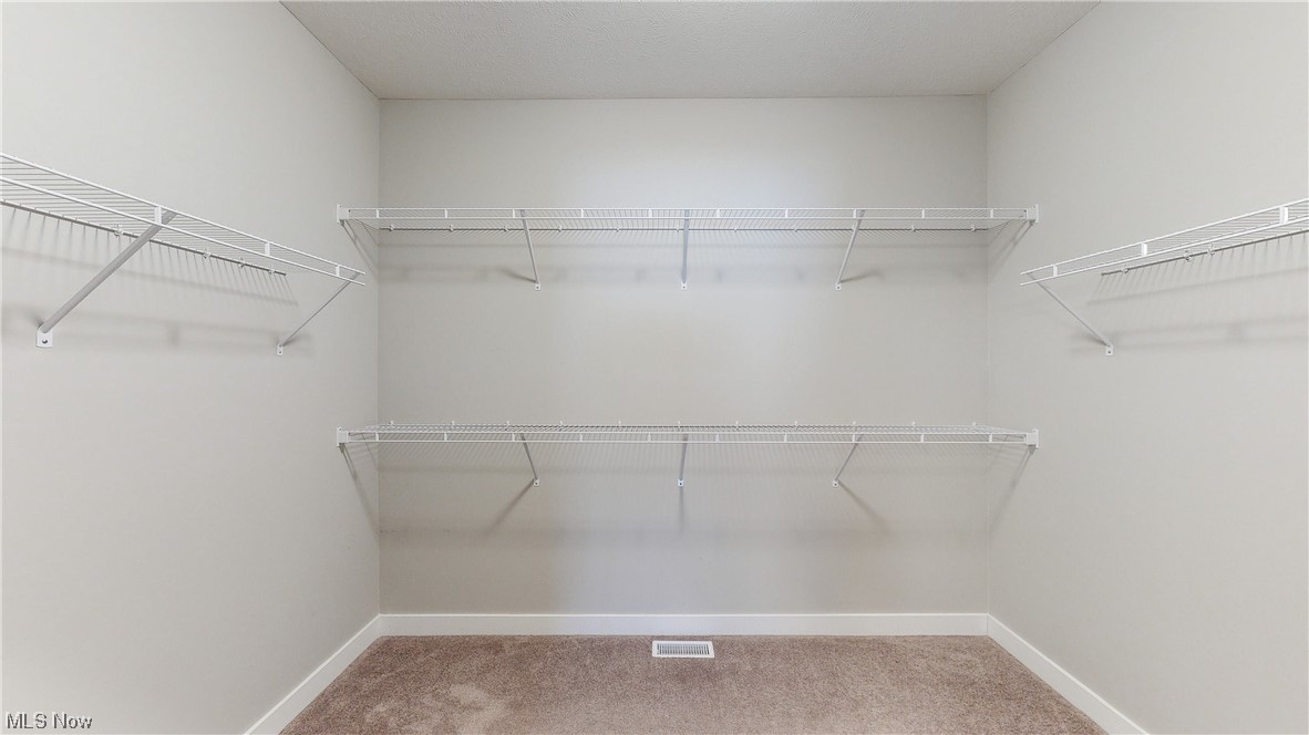 5035 SOM Center Road Solon, OH 44139 - Photo 19 of 23 Walk in closet featuring carpet floors