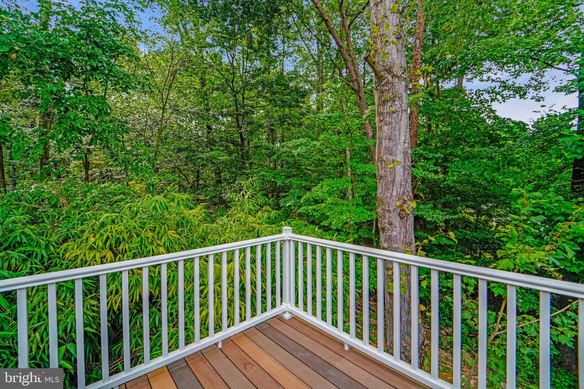 12116 Old Fort Road Fort Washington, MD 20744 - Photo 33 of 65 a balcony with wooden floor and trees in the back