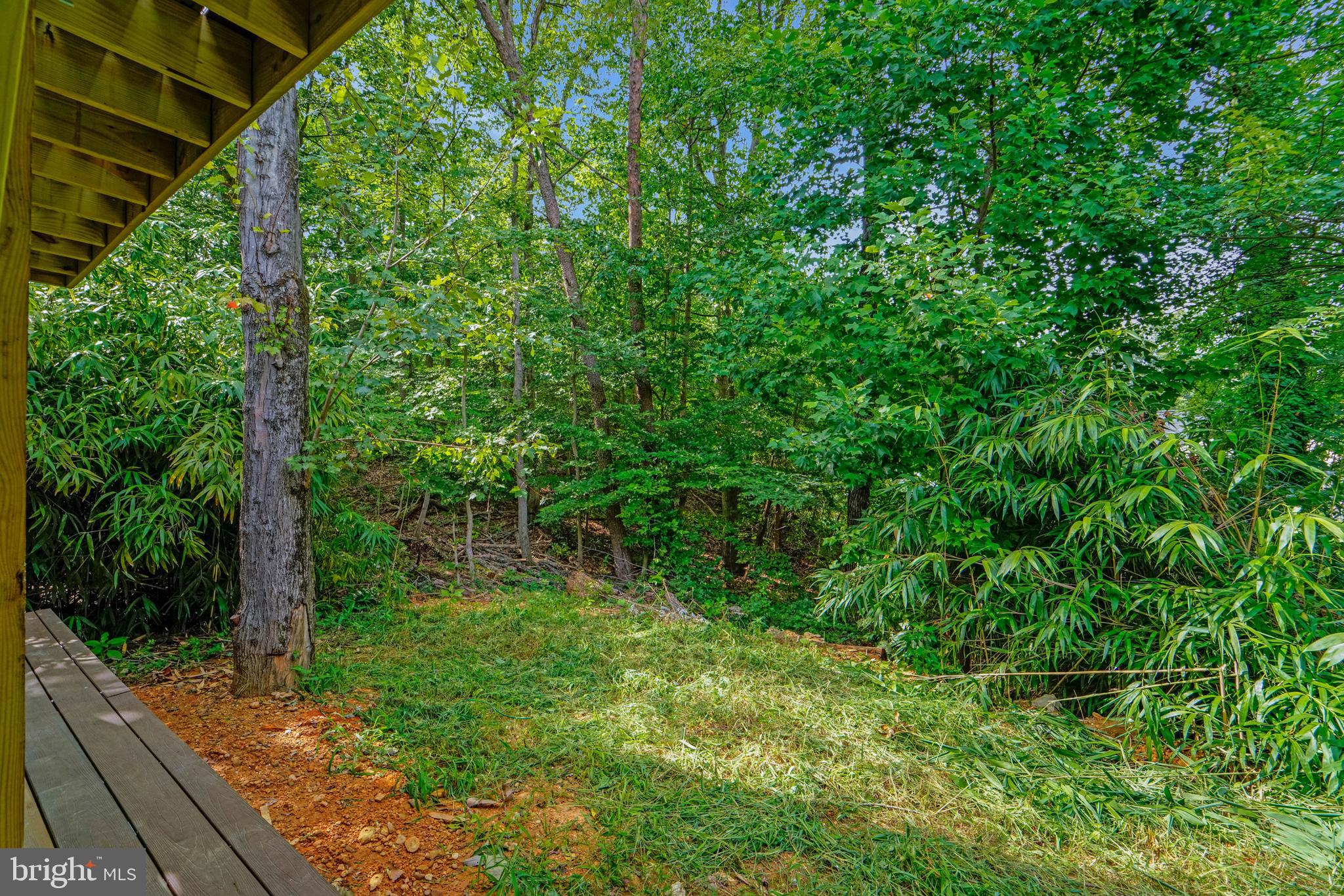 12116 Old Fort Road Fort Washington, MD 20744 - Photo 62 of 65 a view of a garden