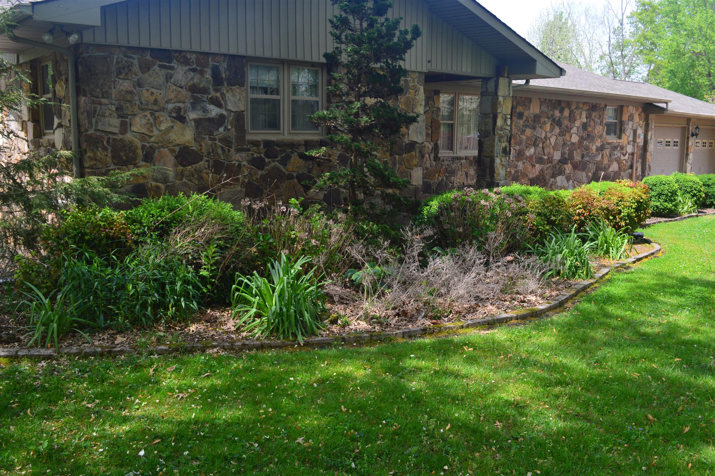 1239 Dripping Springs Road Winchester, TN 37398 - Photo 3 of 30 a view of a backyard with plants