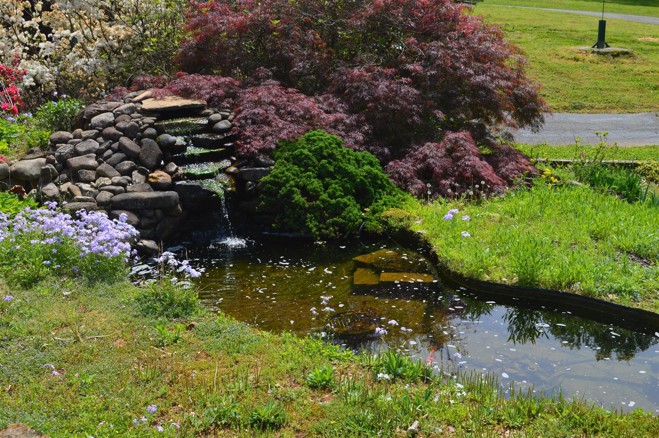1239 Dripping Springs Road Winchester, TN 37398 - Photo 5 of 30 a view of a garden with flowers